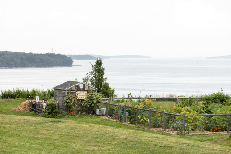 Landscape photo of Casco Bay Community Garden with the bay shown in the horizon.