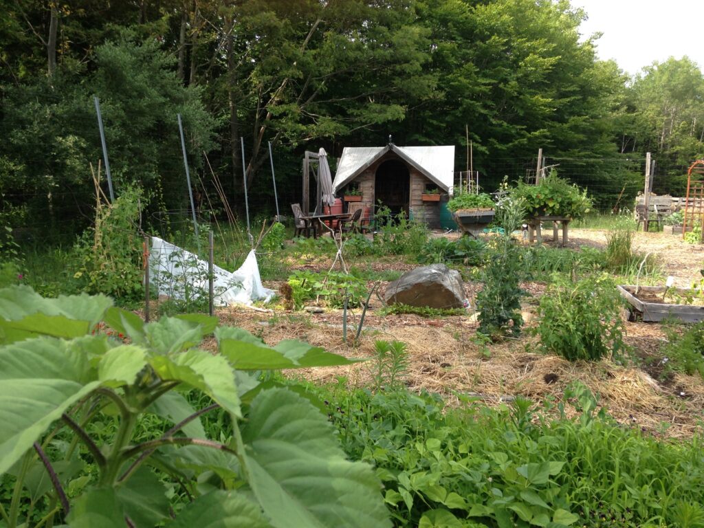 Landscape photo of Peaks Island Community Garden that shows the plots and the shed.