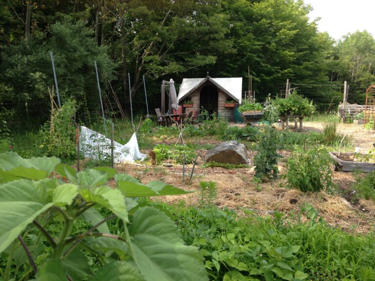 Landscape photo of Peaks Island Community Garden that shows the plots and the shed.