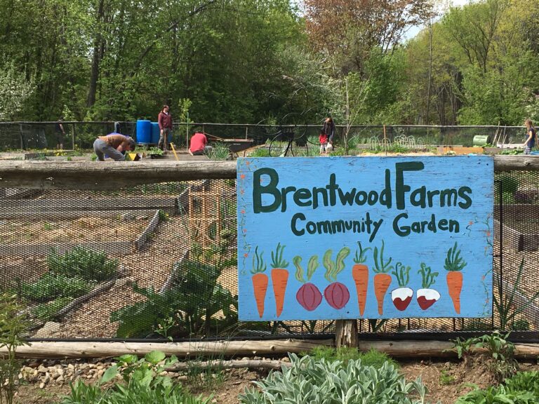 2025 Volunteer Days: 10/8 at Brentwood