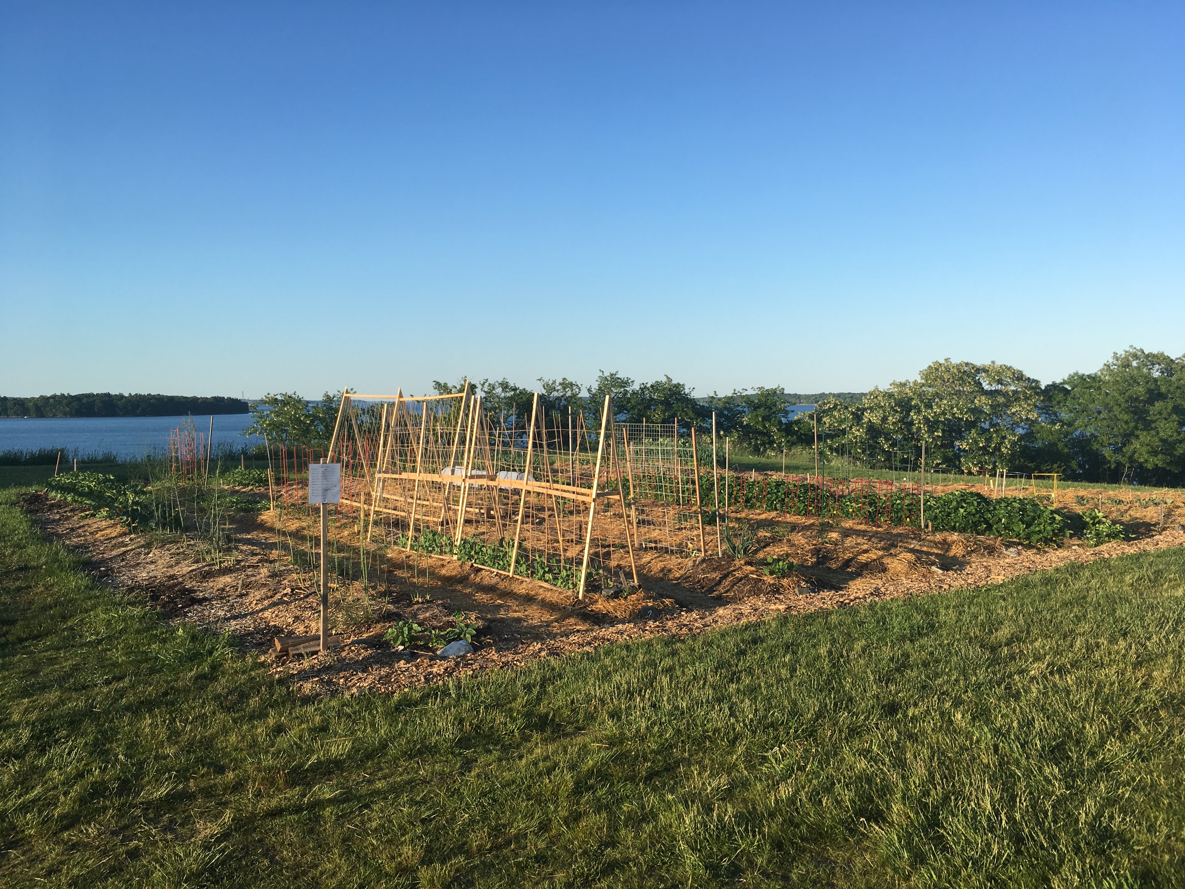 Maximizing Yield in Urban Gardens Workshop
