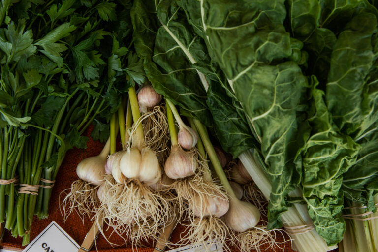 Great Garlic Gathering