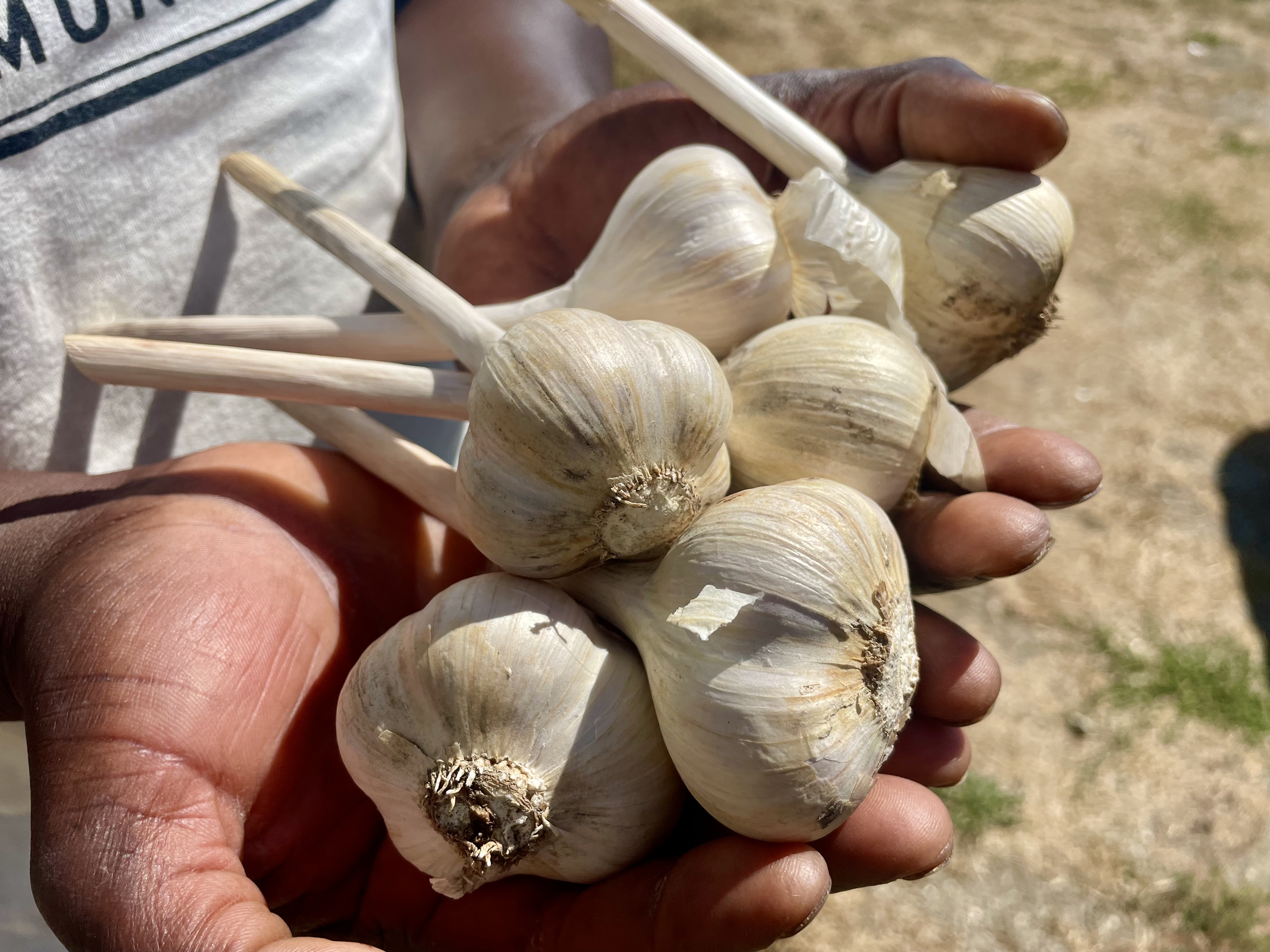 Hurricane Valley Farm Volunteering Opportunity – 10/23/25