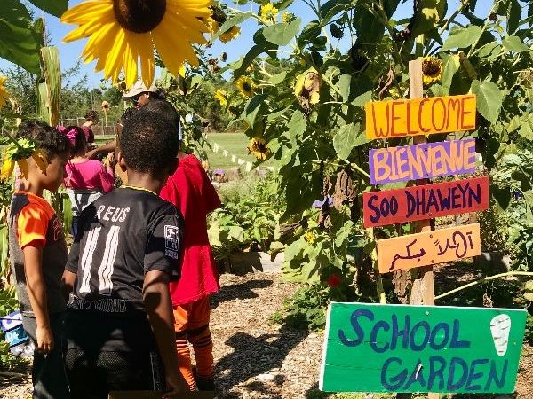 School Garden 2025 News